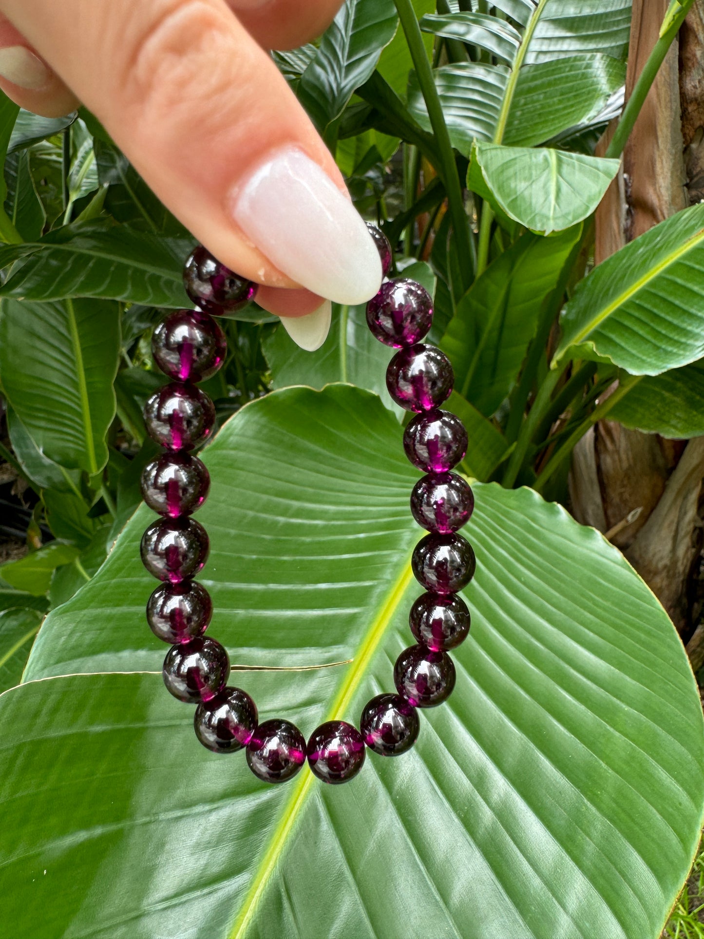Rhodolite Garnet (高階紫牙烏)
