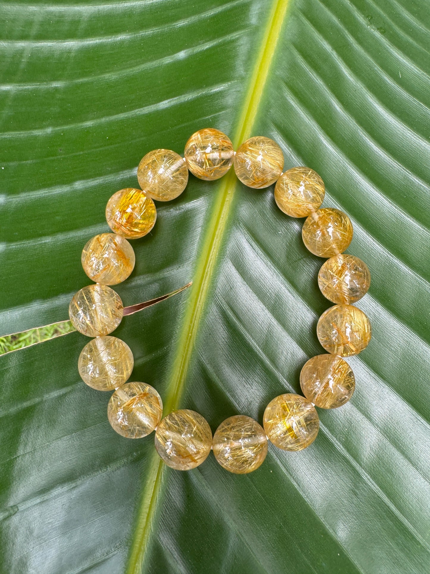 Yellow Azeztulite(黃阿賽)