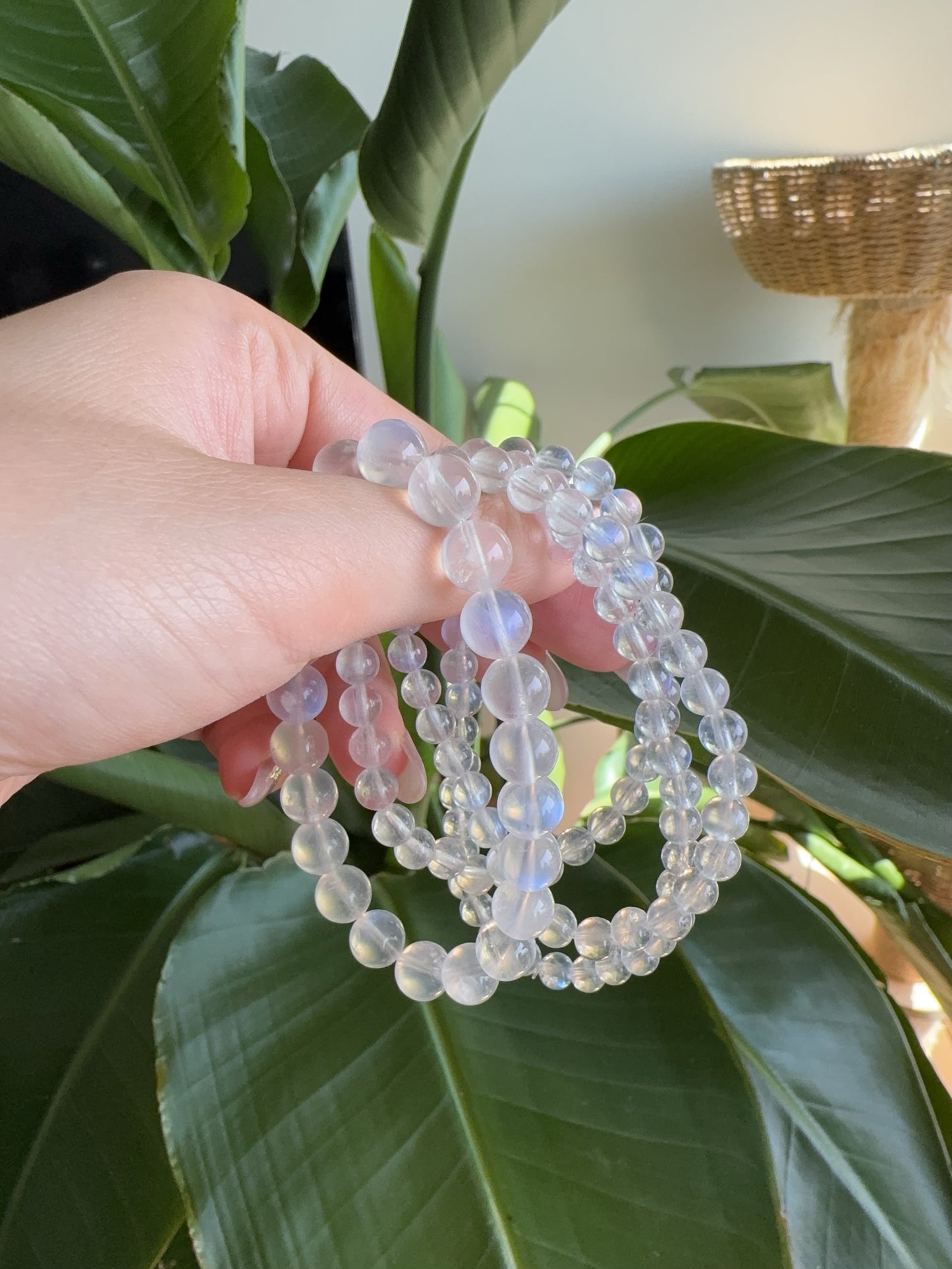 Moonstone(藍月光石)