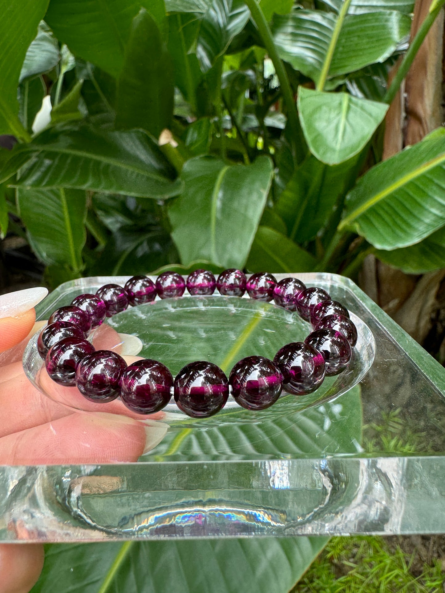 Rhodolite Garnet （高階紫牙烏）