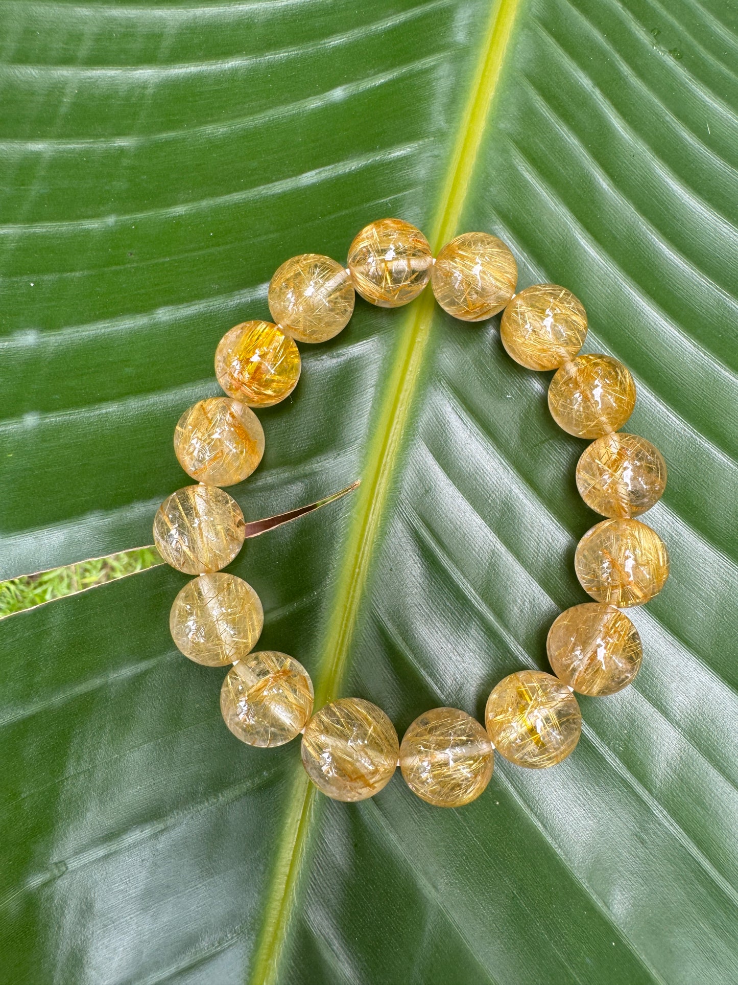 Golden Rutilated Quartz (金髮晶)